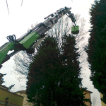 Potatura alberi con Autogru