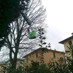 Potatura alberi con Autogru