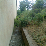 Arbusti e corsello da pulire