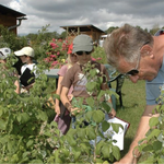 site web association RADD89 • Rencontres Auxerroises du Développement Durable