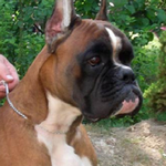 STARSKY