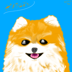 ポメラニアン