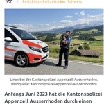 11 Wochen alt