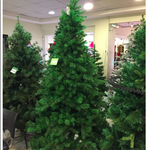 ARBOLES PINO GRANDE FRONDOSO (FLORACENTER) / 2,40 MtS.  / 2 UNIDADES / ARRIENDO: $25.000 C/U / GARANTÍA: $100.000 C/U