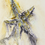 Aquarelle fossile - Vanité sédimentaire VII - 2024
