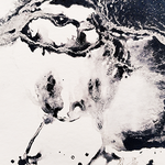 Aquarelle oiseau - 2023