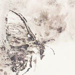 Aquarelle insecte - Volatilisation silencieuse - 2020