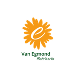 Van Egmond Matricaria