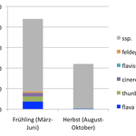 Anzahl Meldungen auf www.ornitho.ch im Frühling und Herbst (Stand Anfang September 2015)