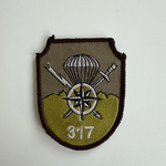 Regimentul 317 ISR ,,VLĂDEASA” / Intelligence, Surveillance and Reconnaissance (ISR) Regiment Airborne