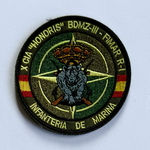 Infantería de Marina (FIMAR-R-I (1ª Fuerza de Infantería de Marina Rumanía),10ª Compañía Mecanizada 3er Batallón de Desembarco Mecanizado (BDMZ-III) - NATO Forward Land Forces Battle Group Romania (FLF BG ROU)