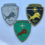 Enhanced Vigilance Activities (NATO eVA) Romania - Armée Luxembourg Recce2 CieD (2024)
