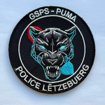 Unité de Garde et d’Appui Opérationnel (UGAO) - Groupe de Surveillance Points Sensibles (GSPS Puma) (2025-...)