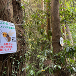南沢の上流方面から下ってきた営巣場所の５メートル手前に掲示しています。