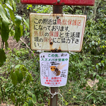 旧大山林道終点、「葉４１」消防看板の向かい側に立っている鳥獣保護区の看板の下に掲示しています。