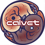calvet