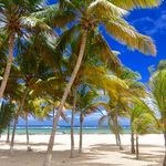 Beach Fifi, la Désirade © Guillaume Aricique, 2015, Comité du Tourisme des Îles de la Guadeloupe CTIG