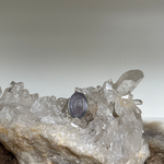 remplir des bijoux avec de la cendre, des bijoux de mémoire, du lait maternel, des cheveux, du textile, du tissu, une bague, un pendentif, des bijoux commémoratifs, tristesse, deuil, souvenir, commémoration, réconfort, crémation, enterrement, fleurs