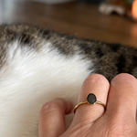 Ring met as op een onzichtbare manier verwerkt. 