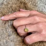 ash keepsake memoryjewelry gedenksieraad herdenken gedenksieraad assieraad 