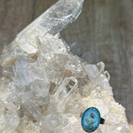 Ring met zand, sodaliet edelsteen, amethist als bloempje, laurierblad, hondenhaar en zilver nuances.