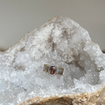 Zilveren ring gevuld met hondenhaar hond haar herinneringssieraad paw fur handmade memory jew. 