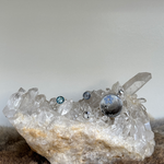 Hanger met as en haar van een hond en een vergeet mij nietje. 2 keer een blauwe ring met as van een hond. Een witte ring met as en haar van een hond. 