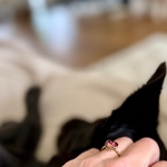 Ring met rood rozenblaadje en wat goud nuances.