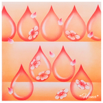 2025.5 花雫　Flower drops