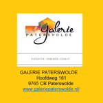 Peter K. Endres mit vier Bildern in der Galerie PATERSWOLDE - Danke für die Einladung an Aaltje van der Velde :