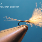 Schwänzchen einbinden.