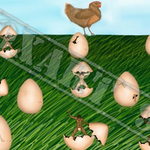 Egg's:                                 Lazer poster                                          420x594mm