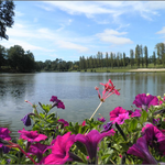 le lac de Luc à Pouillon