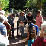 Feldwespennest im Torrahmen