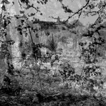 Untitled (Survival Photographs), 2017 - 1/3 - cm 37,5x67