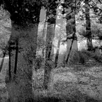 Untitled (Survival Photographs), 2017 - 1/3 - cm 37,5x67
