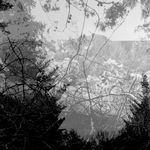 Untitled (Survival Photographs), 2017 - 1/3 - cm 37,5x67