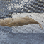 “魁偉なる魚”　24.2×33.3cm　石膏地着彩