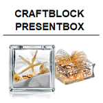 SEVES Glass Block Glassblock Craftblock Craft Box Present Gift Glass Blocks Geschenk Glasbaustein Vitrablok Glasbausteine Glassteine Spardose Glas Hochzeit Glas Hochzeit Geburtstag Birthday Anniversary Namenstag Jubiläum Glasstein Österreich Spardose Glas