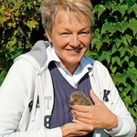 Marion Damm mit einem geschwächtem Igel (Foto: Josef Schröder)