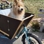 Pelziger Pädagoge - Schulhund Lotto