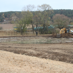 Rohrwiesen nach den Bagger-Maßnahmen (Bild: Lars Stoltze)