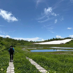 湿地帯のよく整備された木道を歩きます。景色は心が洗われるような絶景です。