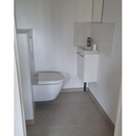 Pose d'un WC suspendu et d'un lave main