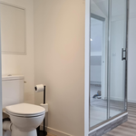 Pose d'un WC et création d'une douche avec receveur et paroi