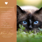 Chromato Chat