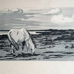 Cheval en Camargue