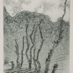 Arbres en hiver, eau-forte, 42x32