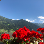 Ausblick