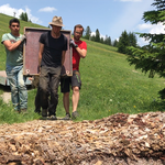 Gewarteten Zapfenbaum Grüner Rätsel Ring stellen